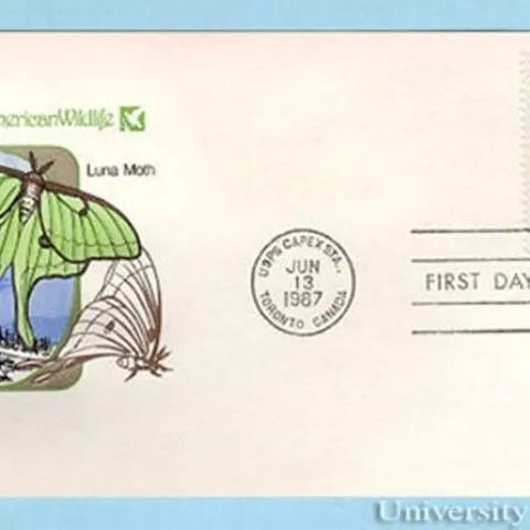 thumbnail for publication: Luna Moth, Actias (=Tropaea) luna (Linneaus) (Insecta: Lepidoptera: Saturniidae: Saturniinae)